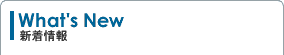 What's New �X�V���
